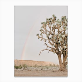 Desert Tree Rainbow Canvas Print