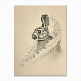Mini Satin Rabbit Drawing 3 Canvas Print