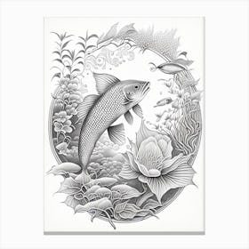 Hikari Mujimono, Koi Fish Haeckel Style Illustastration Canvas Print