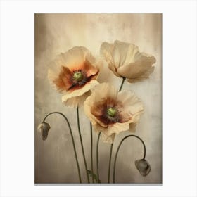 Poppies 30 Canvas Print