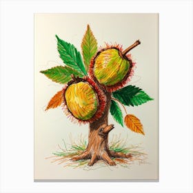 Chestnut Tree Canvas Print