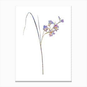 Stained Glass Gladiolus Ringens Mosaic Botanical Illustration on White n.0072 Canvas Print