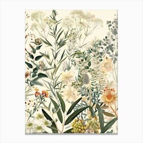 Botanicals Canvas Print