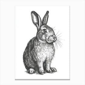 Cinnamon Blockprint Rabbit Illustration 2 Canvas Print