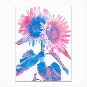 Blue And Pink Sunflowers 1 Canvas Print