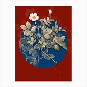 Vintage Botanical Vintage Rosebush on Circle Blue on Red n.0229 Canvas Print