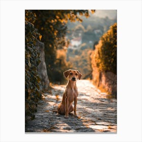 Dog Sitting On Cobblestone Road. Generated AI. Art Print Canvas Print