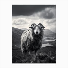 Stormy Black & White Illustration Of Highland Sheep 1 Canvas Print