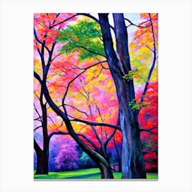 Shagbark Hickory Tree Cubist Canvas Print