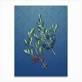 Vintage Wild Olive Botanical on Bahama Blue Pattern n.2564 Canvas Print