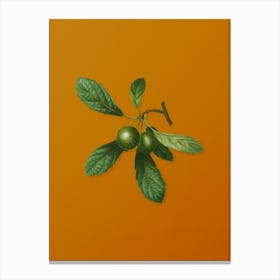 Vintage Crabapple Botanical on Sunset Orange n.0724 Canvas Print