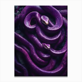 Purple Snake 1 Canvas Print