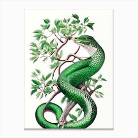Emerald Tree Boa 1 Vintage Canvas Print