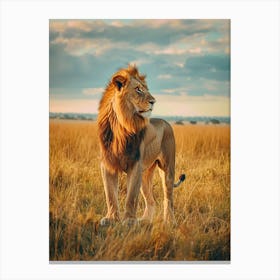 Lion In The Savannah 1 Canvas Print