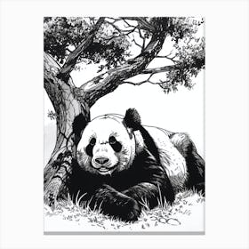 Giant Panda Laying Under A Tree Ink Illustration 3 Canvas Print