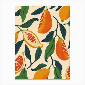 Citrus Fruit Abstract Illustration 4 Canvas Print
