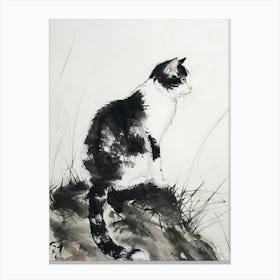 Cat On A Rock Canvas Print