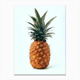 Pineapple Isolated On White 1 Canvas Print