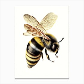 Sting Bee 3 Vintage Canvas Print