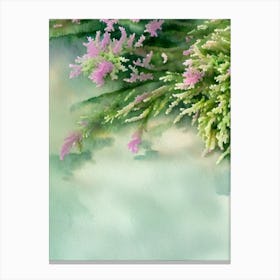 Acropora Nasuta Storybook Watercolour Canvas Print