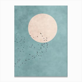 Flock Of Birds Canvas Print