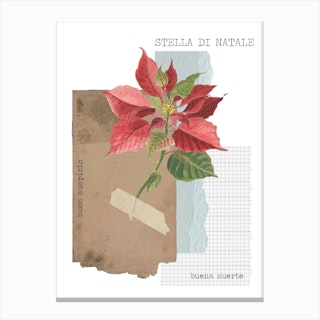 Stella Di Natale Canvas Print