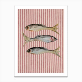 Striped Fish Illustration Canvas Print