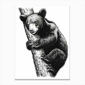 Malayan Sun Bear Cub Climbing A Tree Ink Illustration 3 Canvas Print