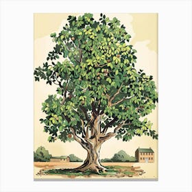 Walnut Tree Storybook Illustration 2 Canvas Print