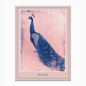Pink & Blue Peacock Cyanotype Style 5 Poster Canvas Print