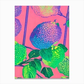 Cherimoya Risograph Retro Poster Fruit Canvas Print