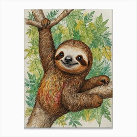 Sloth 38 Canvas Print