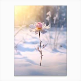 Beautiful Winter Flower 9 Canvas Print