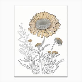 Calendula Herb William Morris Inspired Line Drawing 1 Canvas Print