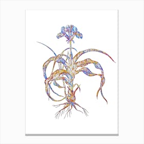 Stained Glass Iris Scorpiodes Mosaic Botanical Illustration on White n.0317 Canvas Print