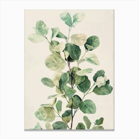 Eucalyptus painting Canvas Print