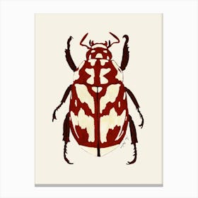 Red Beetle Canvas Print