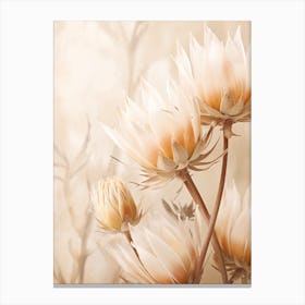 Boho Dried Flowers Protea 1 Canvas Print