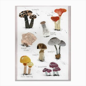 Fungi Print Pilze Maschrooms collage Canvas Print