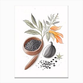 Black Pepper Spices And Herbs Pencil Illustration 1 Canvas Print