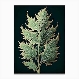 Artemisia Leaf Vintage Botanical 2 Canvas Print