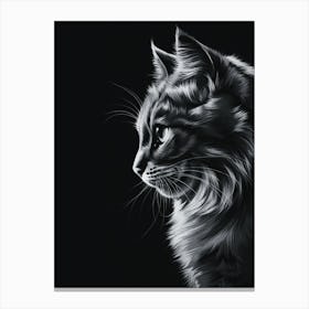 Portrait Of Cat Canvas Print