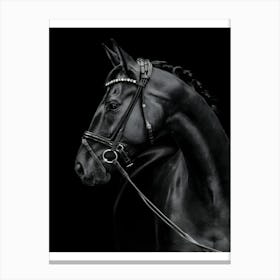 Black Horse With Bridle Toile