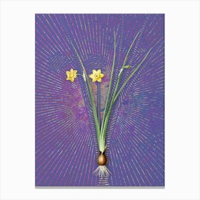 Vintage Daffodil Botanical Illustration on Veri Peri n.0030 Canvas Print
