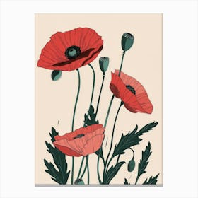 Poppies 46 Canvas Print