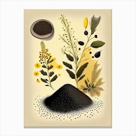 Black Mustard Seeds Spices And Herbs Retro Drawing 2 Canvas Print