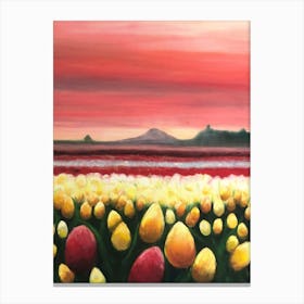 Sunset Tulips Canvas Print