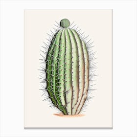 Turk S Head Cactus Marker Art 2 Canvas Print