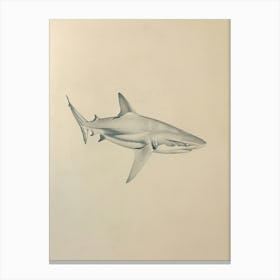 Dogfish Shark Vintage Illustration 5 Canvas Print