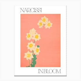 Narcissi In Bloom Flowers Bold Illustration 2 Canvas Print